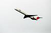 haneda_4673_mini.jpg