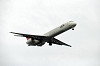 haneda_4703_mini.jpg