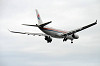 haneda_4809_mini.jpg