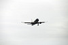 haneda_4813_mini.jpg