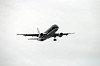 haneda_4816_mini.jpg
