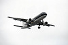haneda_4819_mini.jpg