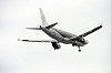 haneda_4834_mini.jpg