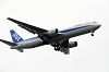 haneda_4847_mini.jpg