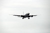 haneda_4875_mini.jpg