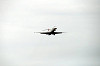 haneda_4911_mini.jpg