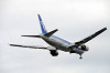 haneda_4941_mini.jpg
