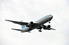haneda_5036_mini.jpg