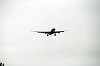 haneda_5080_mini.jpg