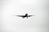 haneda_5081_mini.jpg