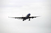 haneda_5083_mini.jpg