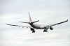 haneda_5112_mini.jpg