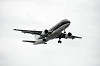 haneda_5145_mini.jpg