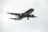 haneda_5146_mini.jpg