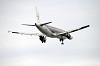 haneda_5157_mini.jpg