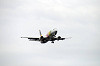 haneda_5160_mini.jpg
