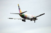 haneda_5180_mini.jpg