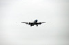 haneda_5236_mini.jpg