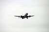 haneda_5237_mini.jpg