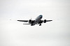haneda_5239_mini.jpg