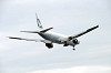 haneda_5265_mini.jpg