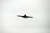 haneda_5286_mini.jpg