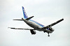 haneda_5315_mini.jpg