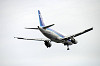 haneda_5316_mini.jpg