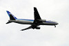 haneda_5329_mini.jpg