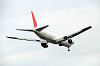haneda_5353_mini.jpg