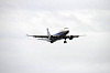 haneda_5356_mini.jpg