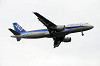 haneda_5364_mini.jpg