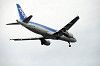 haneda_5367_mini.jpg