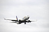 haneda_5372_mini.jpg