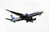 haneda_5396_mini.jpg