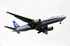 haneda_5428_mini.jpg
