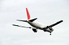 haneda_5452_mini.jpg