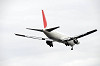 haneda_5453_mini.jpg