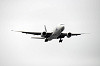 haneda_5475_mini.jpg