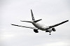 haneda_5489_mini.jpg