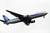 haneda_5498_mini.jpg