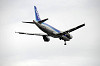 haneda_5529_mini.jpg