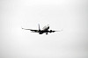 haneda_5571_mini.jpg
