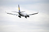 haneda_5593_mini.jpg