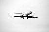 haneda_5597_mini.jpg
