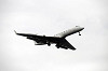 haneda_5603_mini.jpg