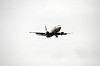 haneda_5662_mini.jpg