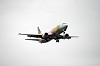 haneda_5666_mini.jpg