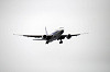 haneda_5698_mini.jpg