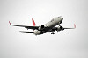 haneda_5749_mini.jpg